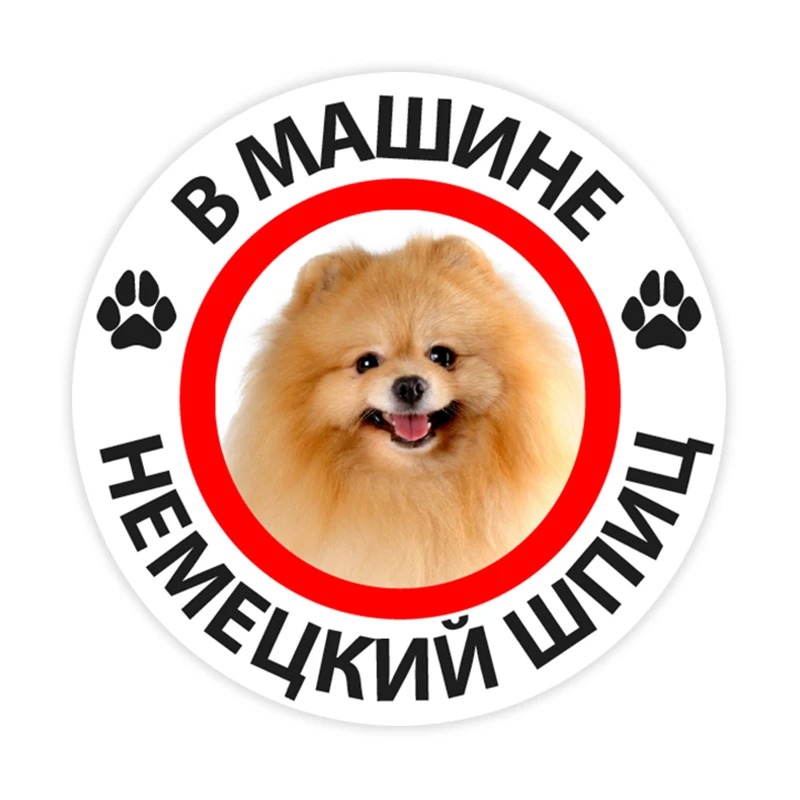 

B0272# 10/13/15 cm German Spitz in the Car Self-adhesive PVC Decal Car Sticker Waterproof Auto Decors on Bumper Rear Window