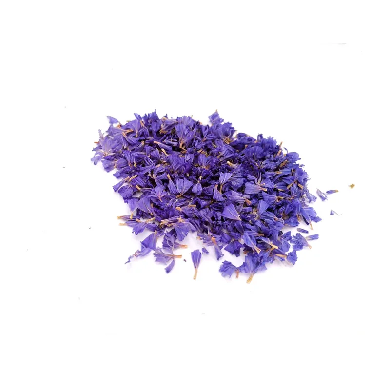 Blue Dried Flower Petals Natural Plants Candle Epoxy Resin Pendant Necklace Jewelry Making Craft DIY Accessories Biodegradable