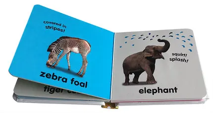 Baby Touch and Feel Animals  Board Book  English Picture story books to help your child grow as a reader