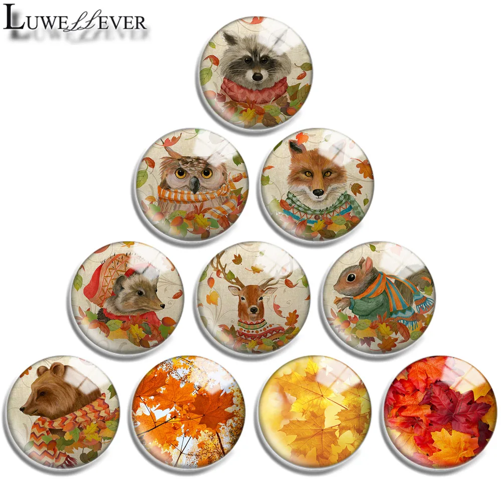 12mm 14mm 20mm 25mm 30mm 40mm 750 Autumn Animals Mix Round Glass Cabochon Jewelry Finding 18mm Snap Button Charm Bracelet