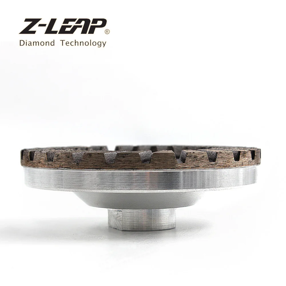 Z-LEAP 4\