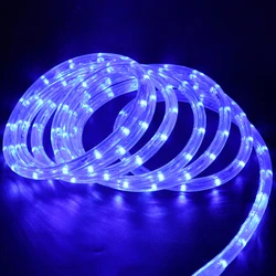 360 Neon Strip Light AC 220V Round Neon Tube Outdoor Waterproof IP67 Flexible Neon Light with EU Plug Blue/Red/Green/Yellow/RGB