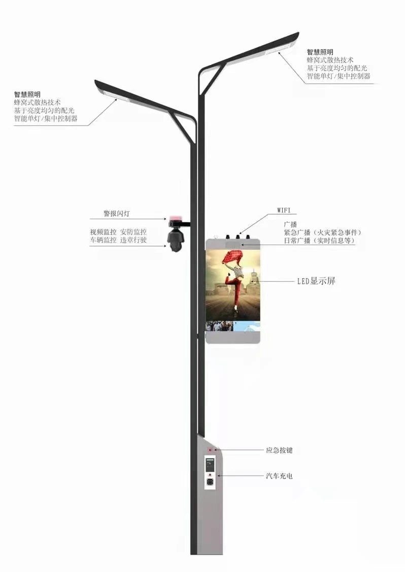 MeshSig NB-LOT LORA Zigbee With WIFI CCTV Led Display Function  Street Garden Light with Car Charging