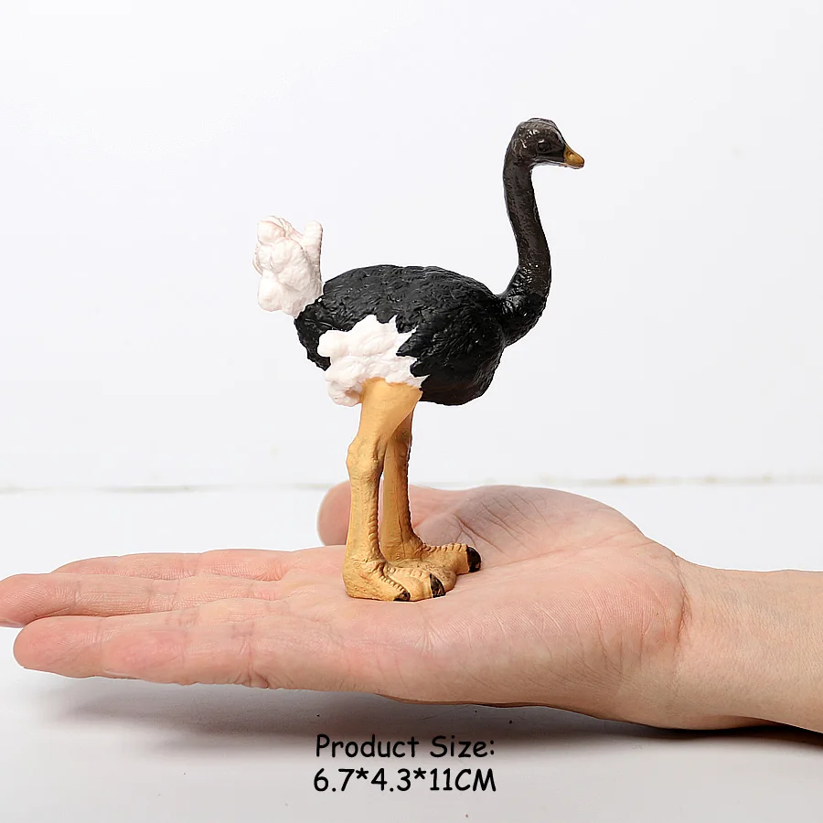 Wilde Vogels Dieren Kalkoen Ara Uil Eagles Struisvogel Pelikaan Beeldjes Speelgoed Dier Action Figure Leren Onderwijs Vogels Geschenken