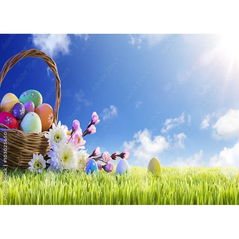 Uova di pasqua fondali fotografia Studio fotografico puntelli primavera fiori bambino ritratto di bambino fondali foto 21126 FHJ-01