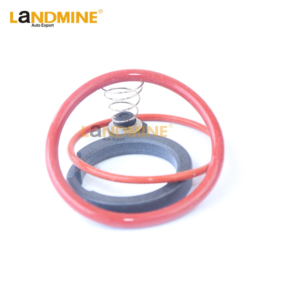 

Free Shipping O-Ring Spring Valve For BMW X5 E53 A6 Q7 Touareg L322 W211 W220 E65 E66 C5 C6 C7 Audi A8 Phaeton LR2 XJ6