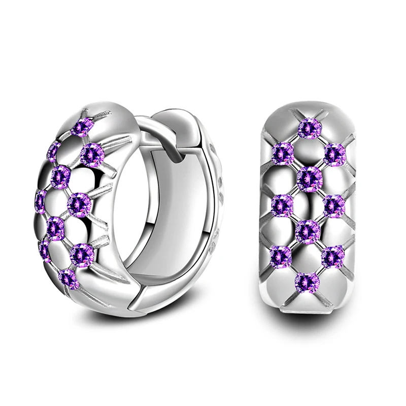 Women's Fashion Exquisite Zirconia Hoop Earrings Purple Crystal Stud Small Huggies Elegant Earring Piercing Jewelry For Lady