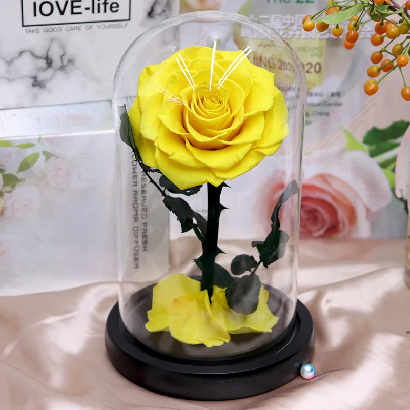 Little Prince Eternal Rose Flower Under Glass Dome Mother's Day Present  Lovers Gifts Home Decoration Salon