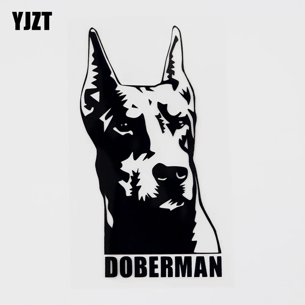 YJZT 8.1CMX14.6CM Doberman Animal Dog Vinyl Decal Car Window Sticker Black/Silver 8C-0124