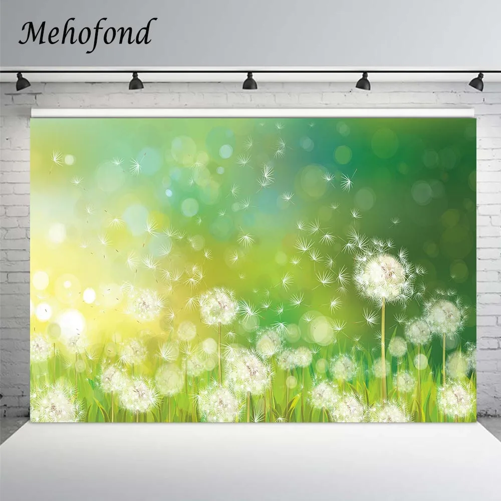 

Mehofond Spring Dandelion Scene Backdrop Green Glitter Bokeh Polka Dots Newborn Baby Shower Photography Background Photo Studio