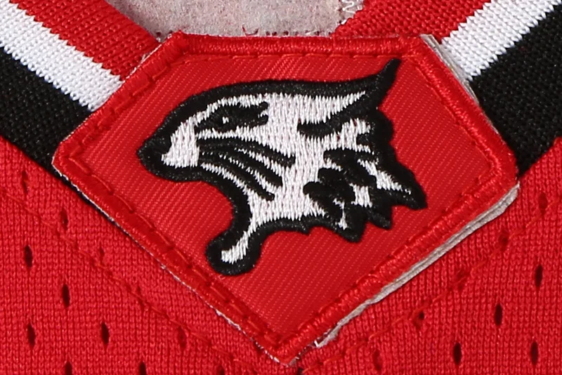 Zac Efron Troy Bolton East High School Wildcats nr 14 czerwony Retro koszulka koszykarska mężczyźni szyte haftowane koszulki sportowa koszula