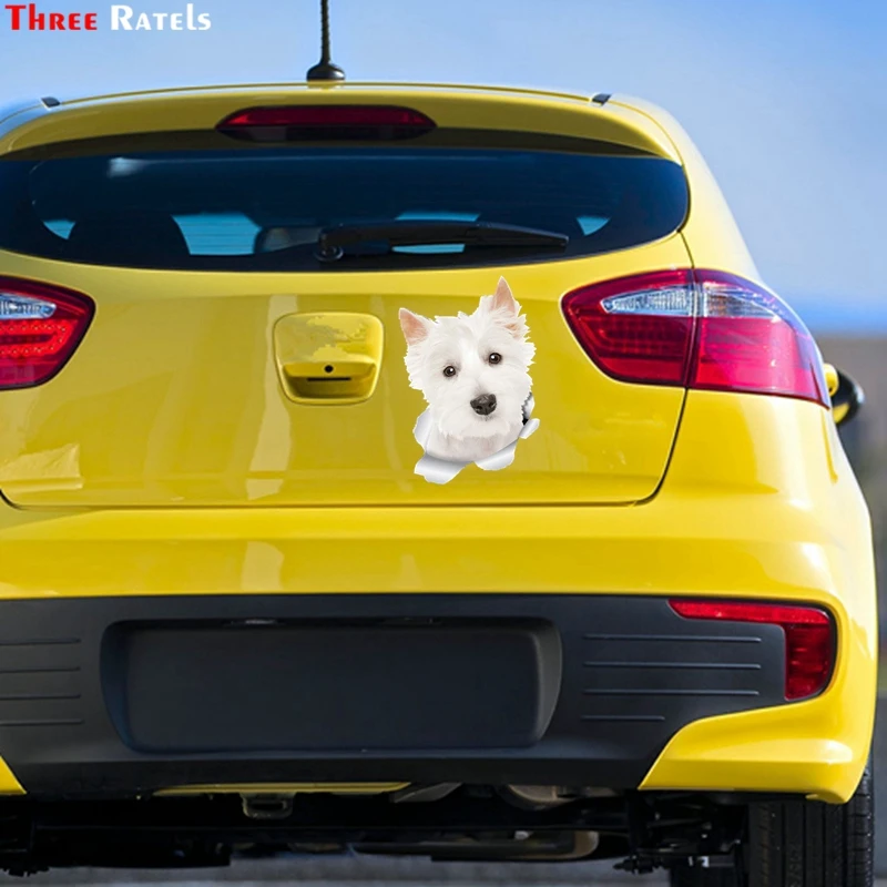 Three Ratels 3D Cute Westie Dog Wall West Highland White Terrier 3D Sticker Decals On Cars Toilet Bike 1098