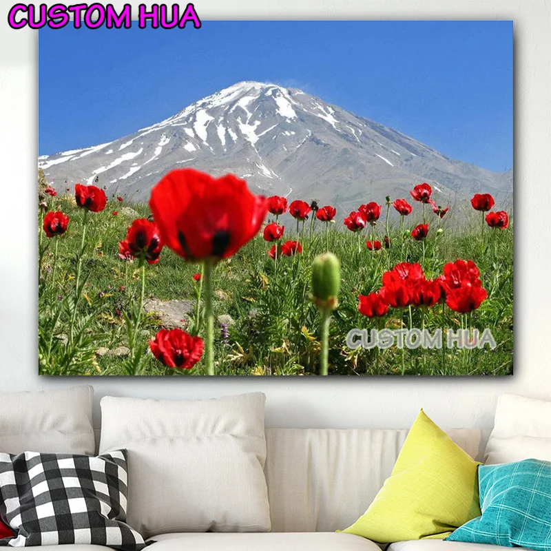 DIY Diamond Painting Embroidery cross stitch kit Snow Mountain natural Scenery Red flowers 5D Rhinestone Mosaic picture TT6123