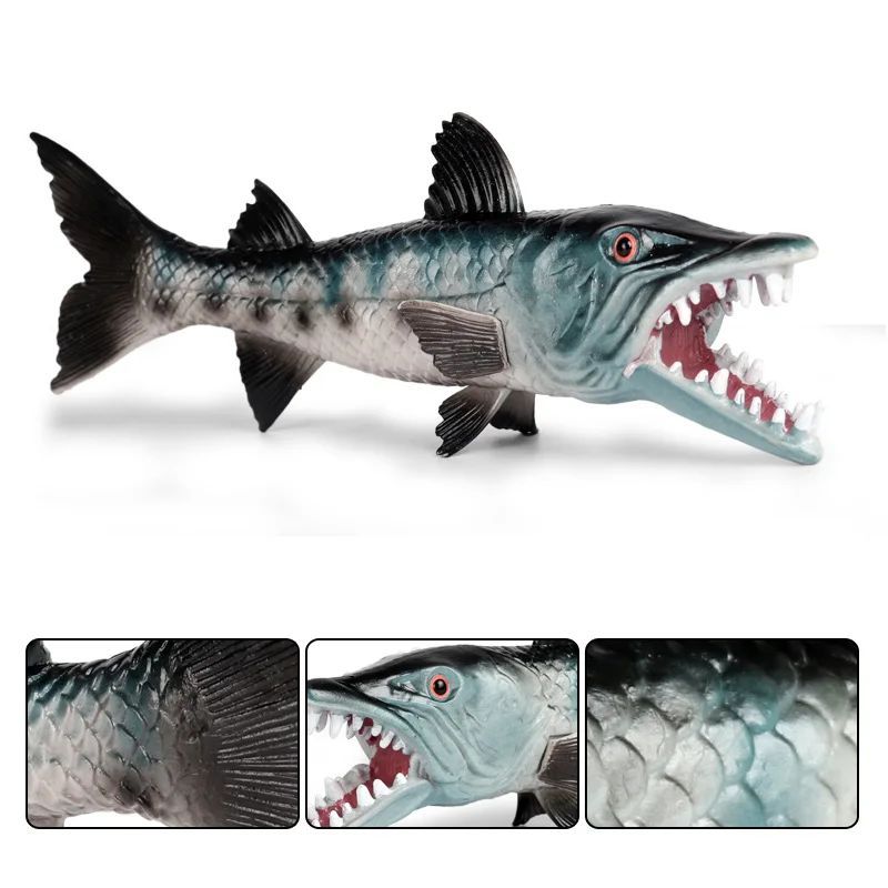 Oenux Meer Leben Tiere Modell Action-figuren Ozean Fisch Segelfisch Bass Zacker Lachs Aquarium Figuren PVC Pädagogisches Kinder Spielzeug – Detail 4