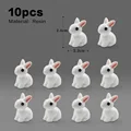 10 piezas Conejo Blanco