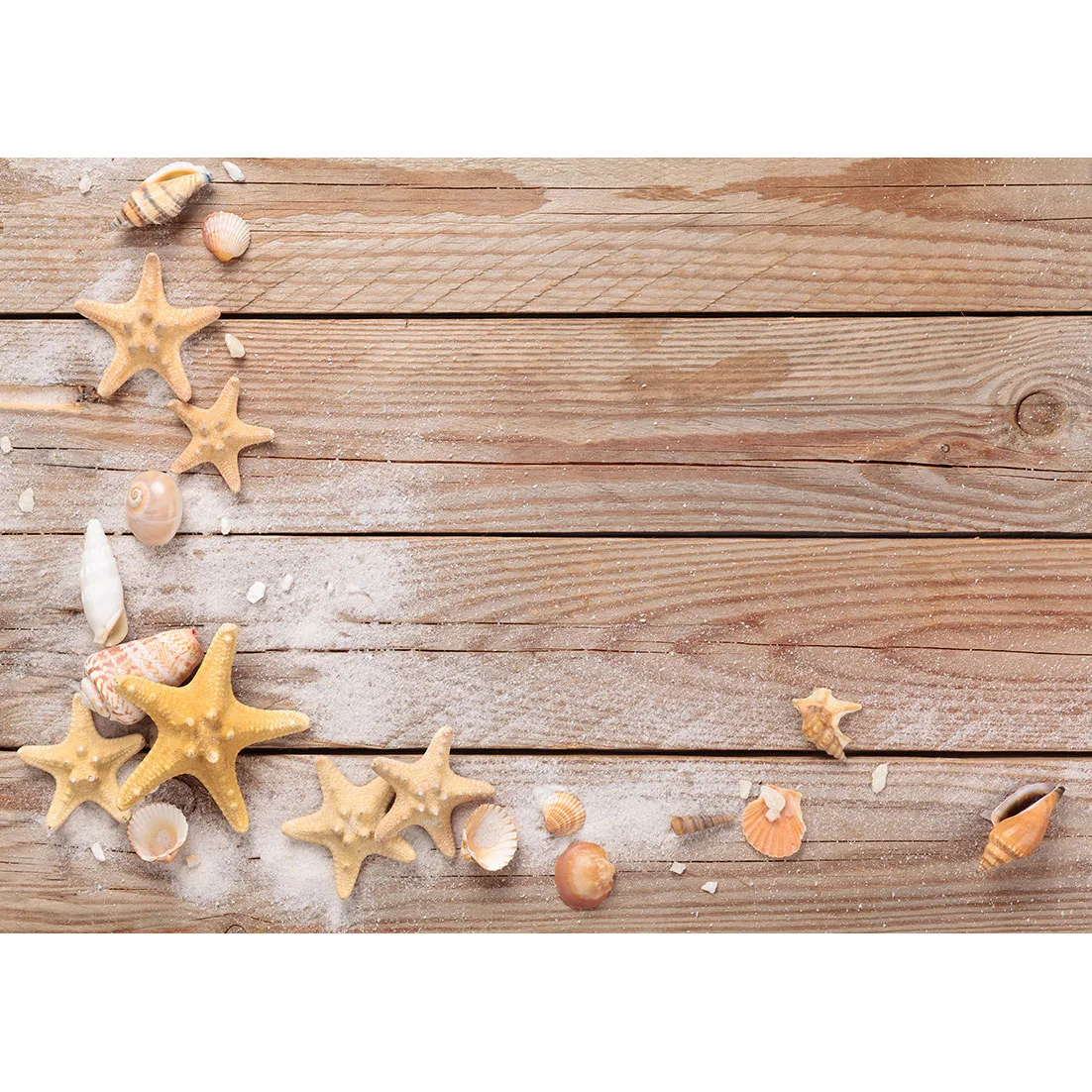 Beach Sand Starfish Shell Conch Wooden Plank Photography Backgrounds Viny Backdrops Photo Studio Children Baby Shower Photocall