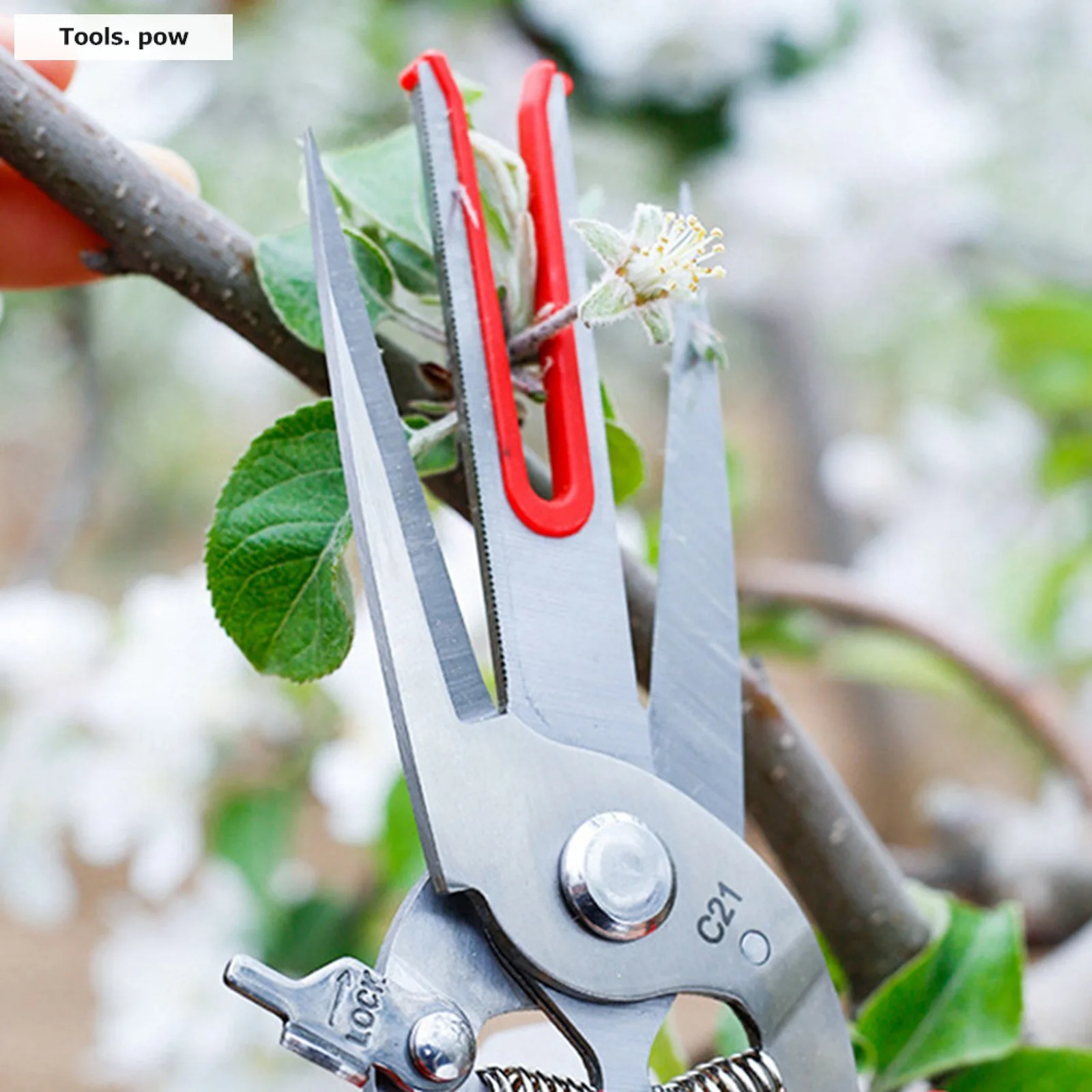 Double-edged Apple Picking Scissors Kiwi Pear Thinning Scissors Double Mouth Design Thin Fruit Picking Scissors Garden Hand Tool