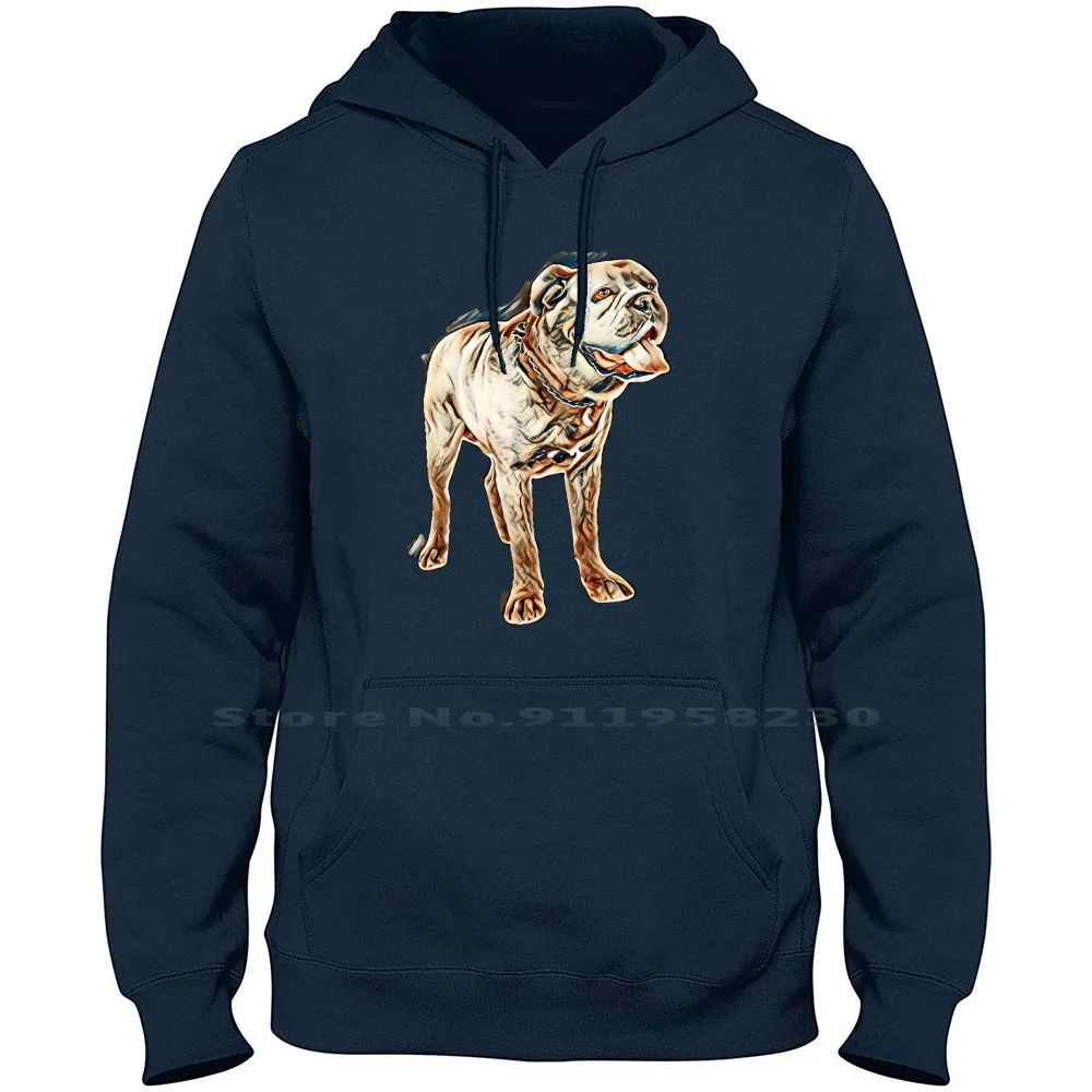 Cane Corso In Front Of White Background Hoodie Sweater Cotton Border Collie Background Ground Collie White Round Ollie Back Male