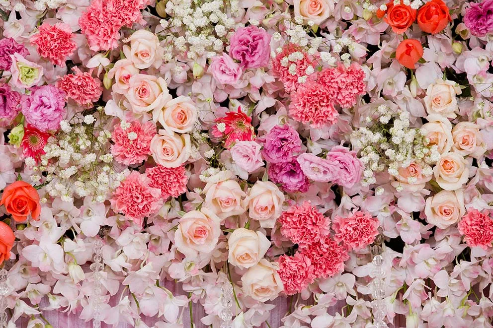 バレンタインデーの写真写真の背景バレンタインデーの写真の背景赤ちゃんのシャワー結婚式の幸せな誕生日の母の日