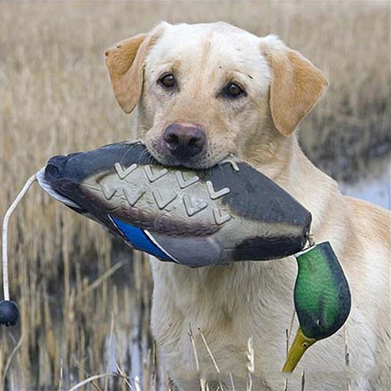 Mimics Dead Duck Bumper Toy For Training Puppies Hunting Dogs Teaches Mallard Waterfowl Game Retrieval Interactive Dog Training