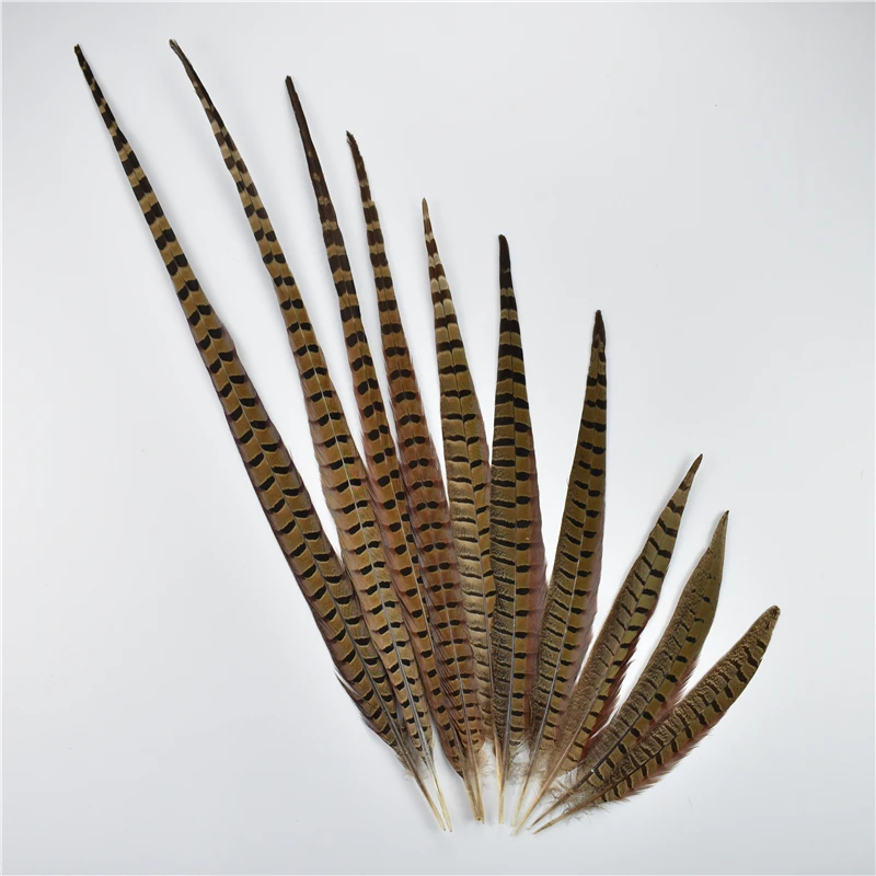 10 قطعة/الوحدة ريش ذيل الدراج الطبيعي للحرف اليدوية كرنفال اكسسوارات حفل زفاف عطلة الديكور أعمدة طويلة غطاء الرأس