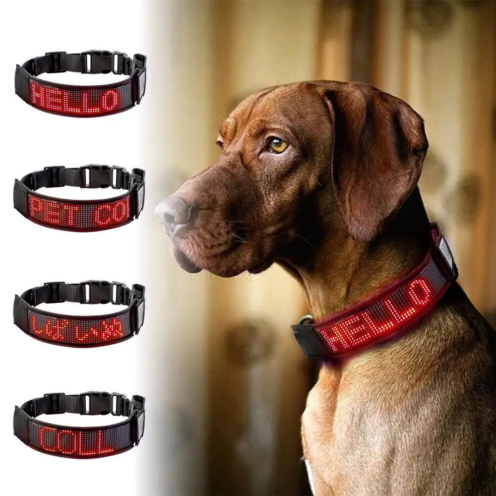 Rechargeable Illuminated Dog Collars LED Programmable Scrolling Text Flash Leopard Collar Puppy Night Safety Accessories Product