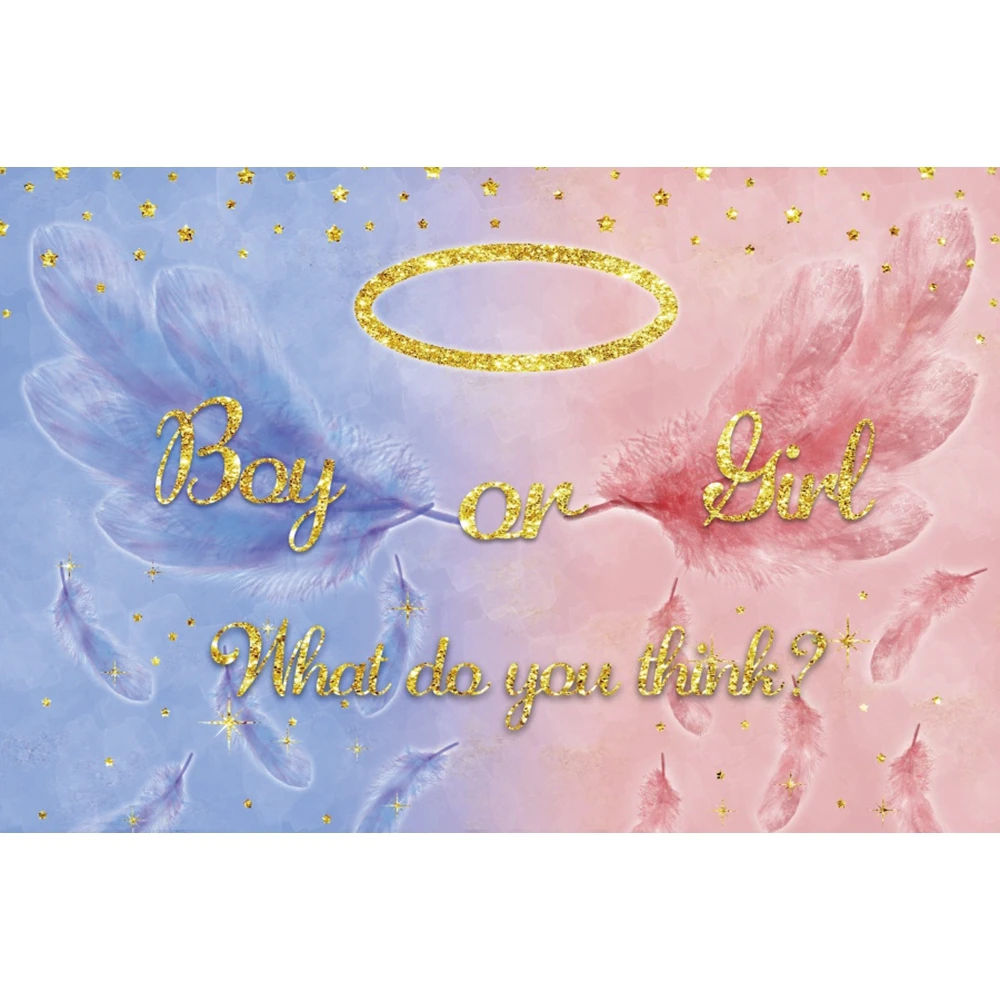 Gender Reveal Party Royal Newborn Baby Shower Backdrop Vinyl Feather Photography Background For Photo Studio Photophone Shoot