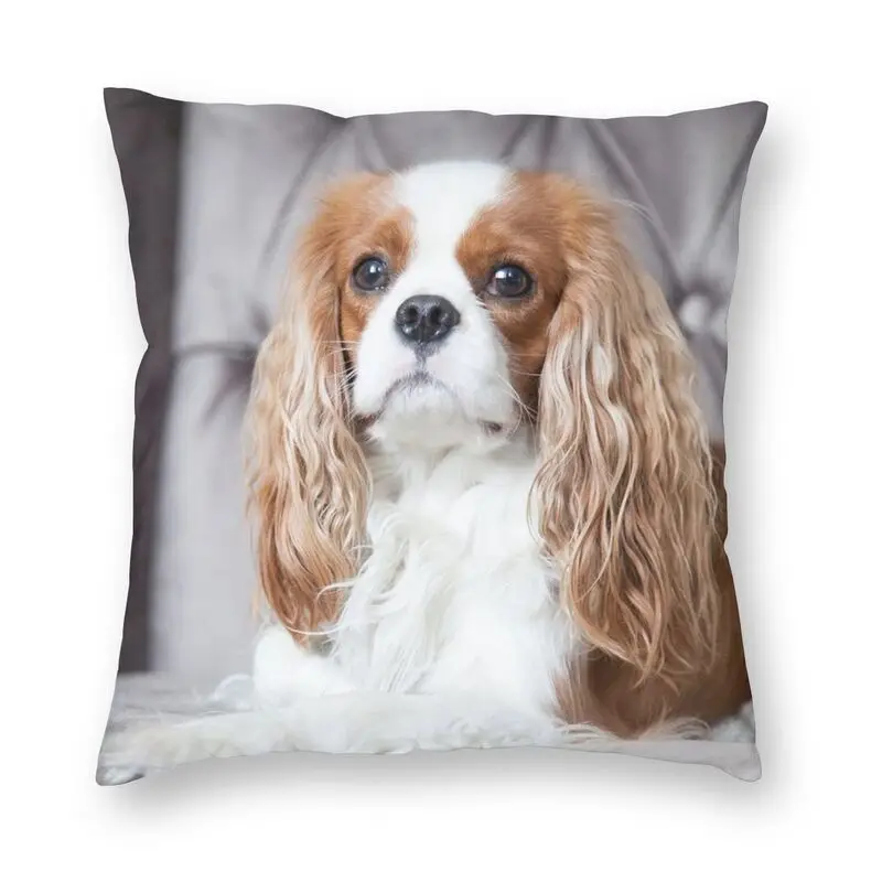 Custom Cavalier King Charles Spaniel Square Pillow Case Home Decor 3D Two Side Printing Dog Cushion Cover for Living Room