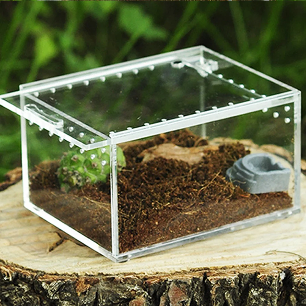 

Transparent Reptile Breeding Box Acrylic Sliding Cover Type Feeding Box