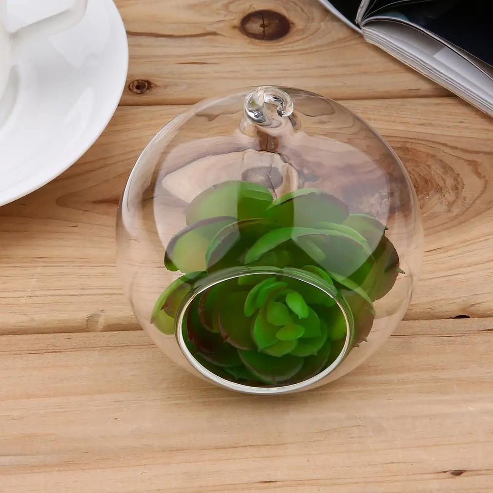 New Dia 8/10CM Transparent Glass Vase Wall Hanging Hydroponic Terrarium Fish Tanks Potted Plant Flower pot