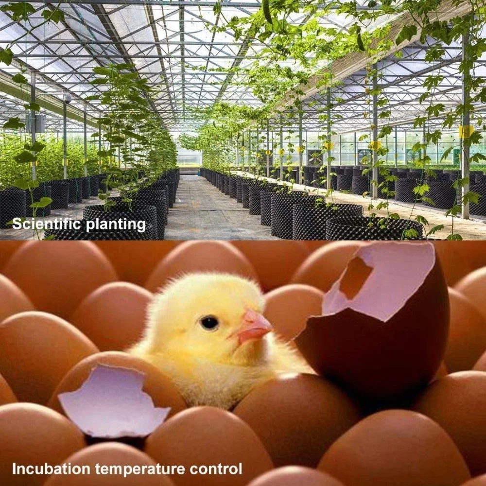 2PCS Digital Temperature Controller XH-W1209 with Case Module Display Cooling Switch Thermostat For Waterproof NTC Probe Sensor