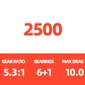 2500