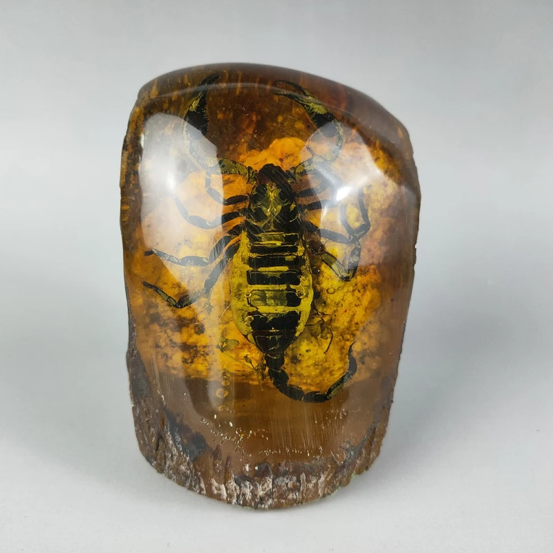 Elaborate Interesting Rare Chinese Collection Home Decoration Gift Amber Resin Scorpion Statue Craft