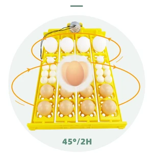 حاضنة البيض الأوتوماتيكية معدات حضانة الدواجن الصينية القابلة للإزالة ، حاضنة السمان ، البط ، 24 بيضة أعلى 6 مبيعات 24 حاضنة بيضة - رقم 4