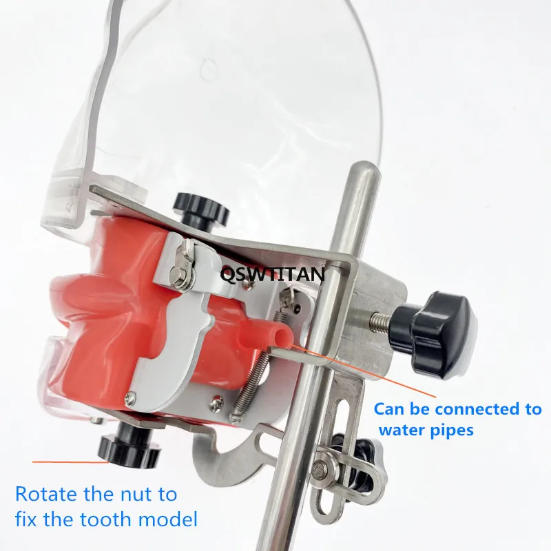 Dental Simulator Oefenpop Phantom Hoofd Typodont Model Studenten Training Model