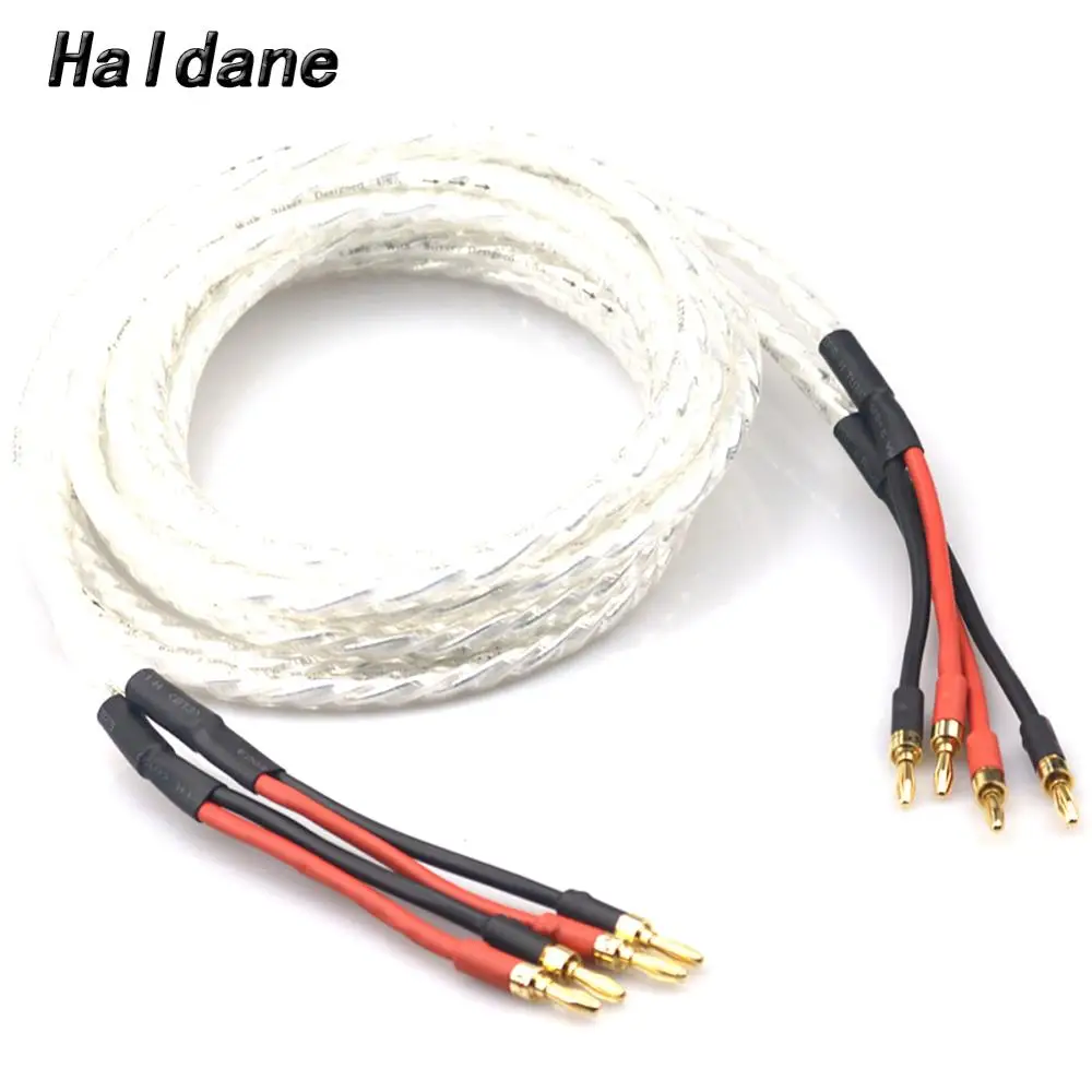 

Haldane pair HIFI 6N OFC Hi-end Speaker Cable CD DVD Speaker Loudspeaker Cable with 2 to 2 Banana Plugs