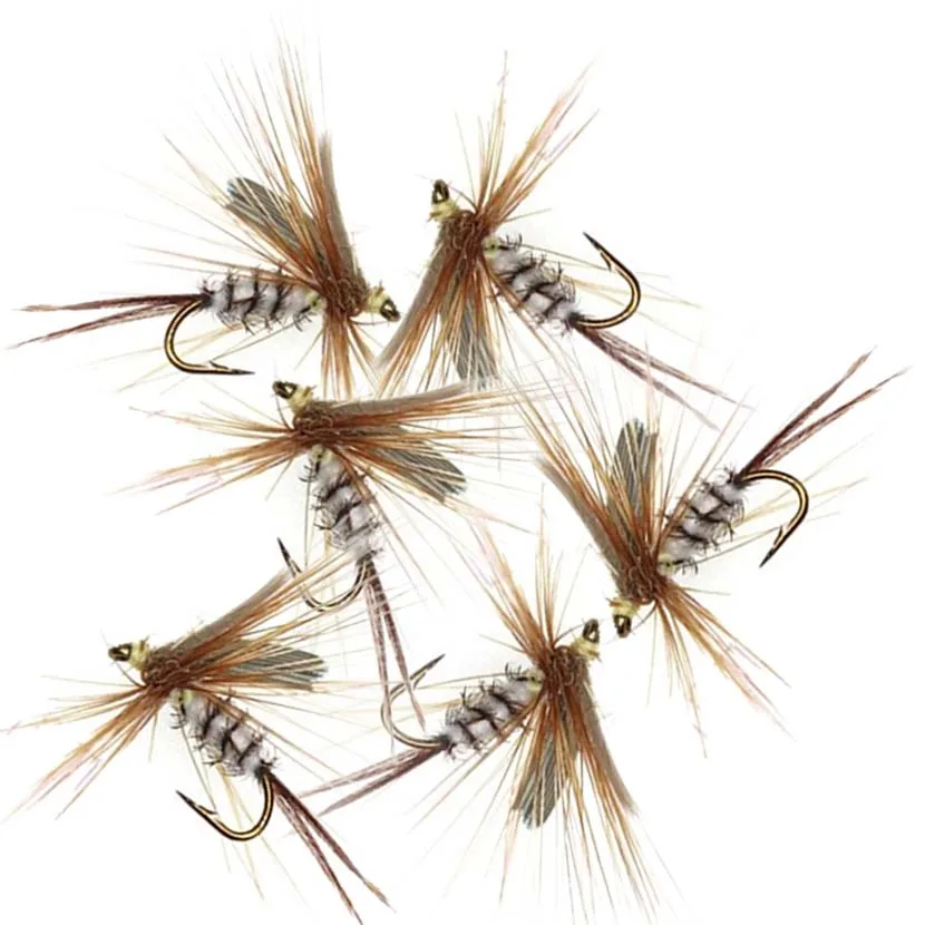 Trout Assortment Dry Flies/Nymph Flies/Attractor/Wet Flies for Trout Fly Fishing Flies-Every Season (24Pieces-Lot)