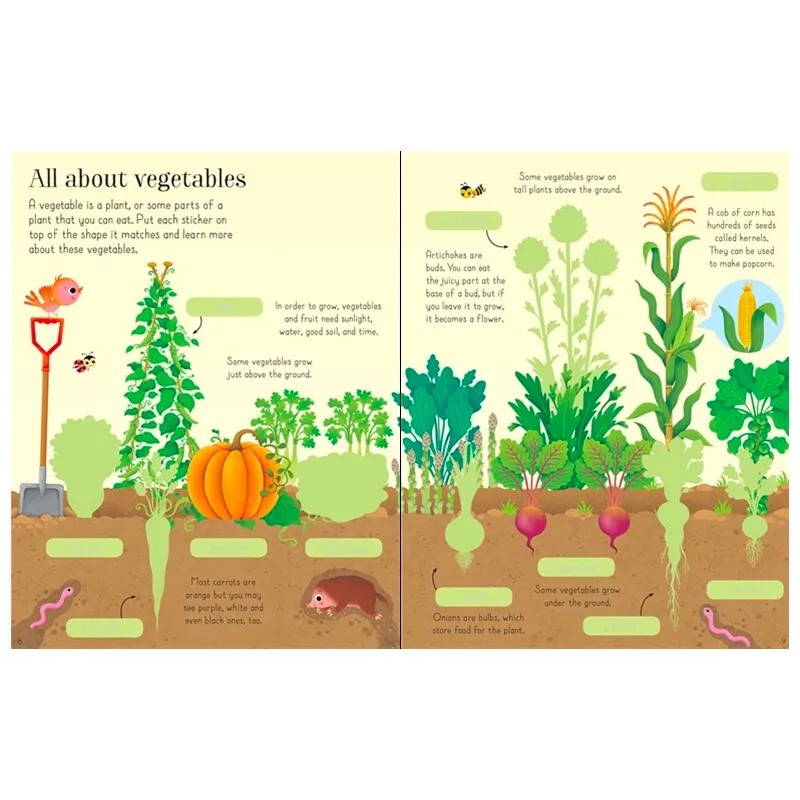 Usborne primeiro adesivo livros frutas e legumes