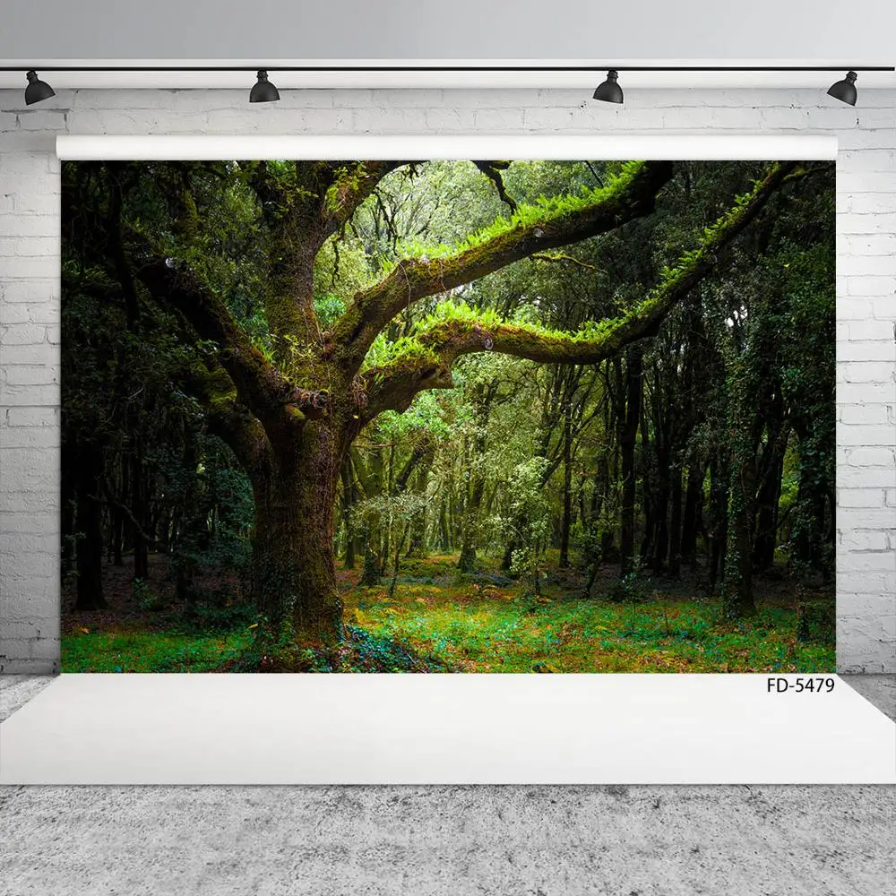 Old Tree Forest Gra… - image