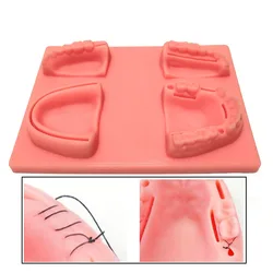 Dental Suture Model Oral Teeth Gum Suture Training X Surgical Practice Dental Wounds Dentist Teaching Model