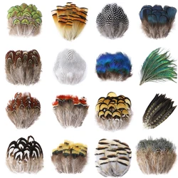 20PCS Natural Small Peacock Pheasant Feathers DIY Crafts Jewelry Making Accessory Plumes Pary Decoration Fly Tying Material