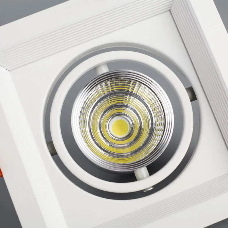 1Pcs 10W 20W 30W 110V 220V LED DIMMABLE Ceiling Downlight Recessed LED Wall lamp Spot light With LED Driver For Home Lighting