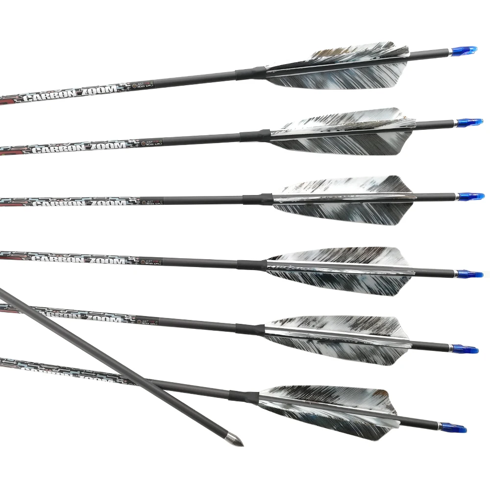 Pinals Archery Pure Carbon Arrow Spine 400 500 600 700 800 900 1000 30Inch Shafts Compound Recurve Bows Longbow Hunting 12PCS