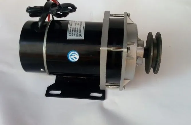 

500W 24V / 36V / 48V Pulley Gear Motor, Brush Motor Three-Wheel Electric Vehicle, Dc Brush Motor My1020Zxf