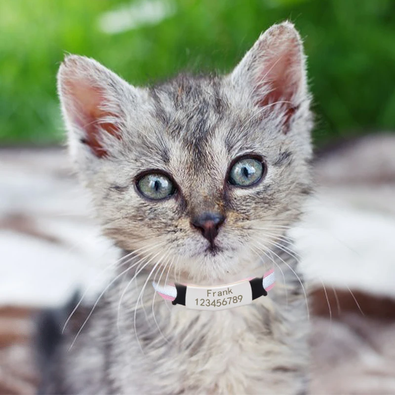 Collar de nailon con placa reflectante personalizada para gato, Collar de seguridad con campana, etiqueta de nombre de identificación grabada