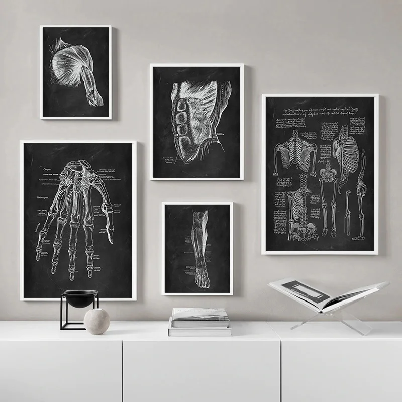 Human Anatomy Artwork Medical Wall Picture Skeleton Organ Muscle System Vintage Poster Canvas Print Body Education Painting view 3