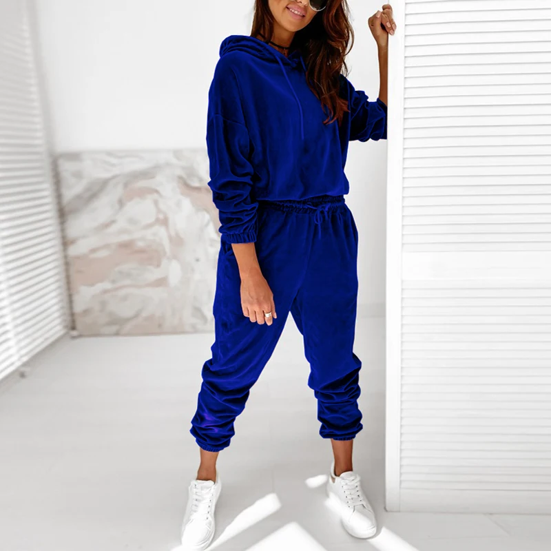 Autumn Winter Velour Tracksuit Women Velvet Set Woman Tracksuit Sets Winter Velvet Suit Two Piece Set Solid Color Hooded Suit