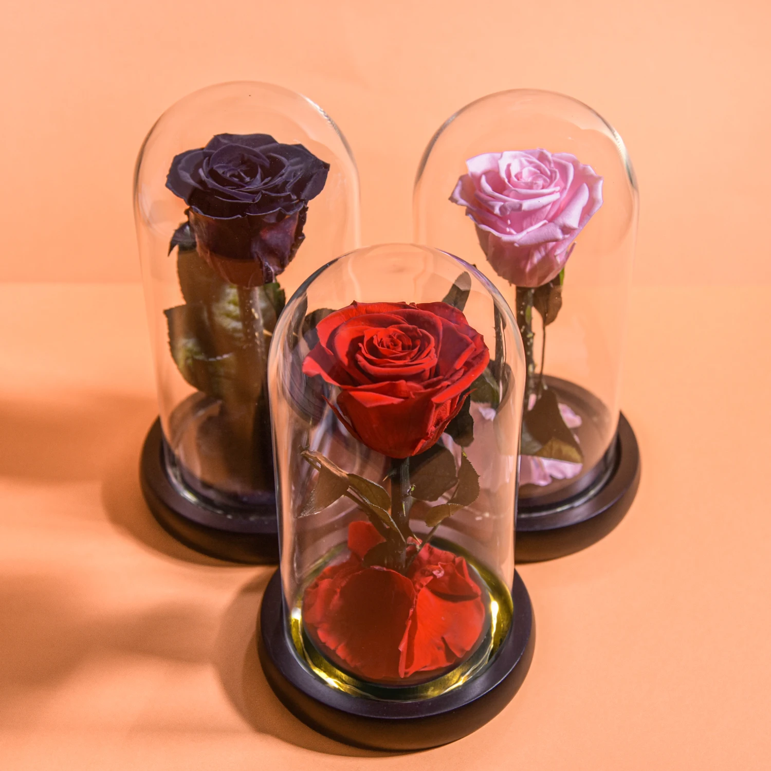 Valentine Gifts Eternal Rose Preserved Flowers In Glass with LED Light Forever Women Gift for Birthday Mother Day Christmas