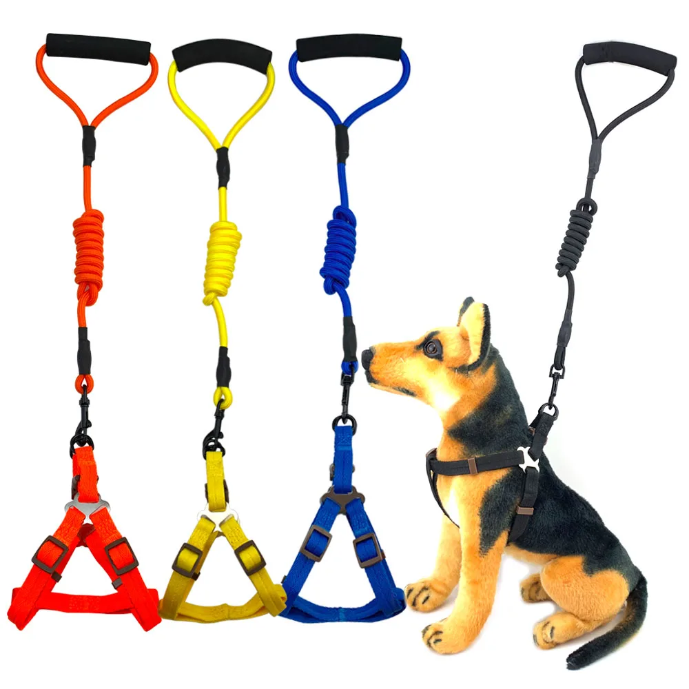 

5 Colors Nylon Dog Leash And Collar Set Leash For Dog Small Medium Large Puppy Big Dog Necklace Leash Rope Pets Accessories