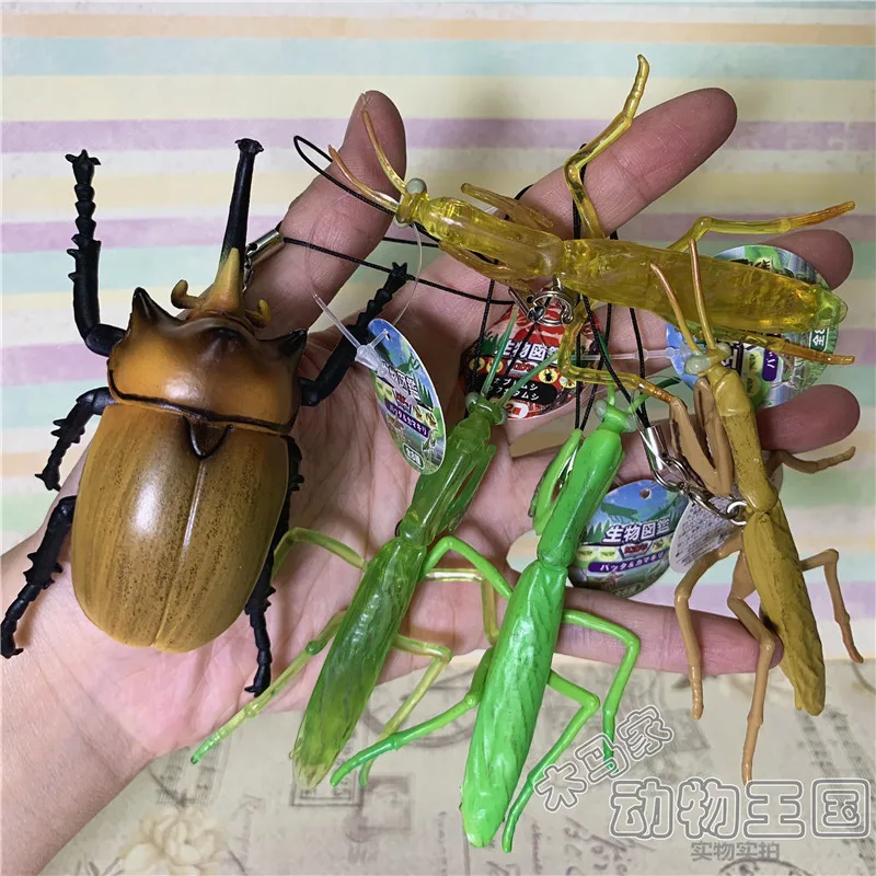 pvc  wildlife Praying mantis beetlee unicorn simulation insect animal model  pendant 5pcs/set